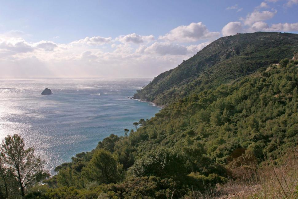Chambre Et Salle De Bain Independantes A 200M De La Plage De Fabregas 滨海拉塞讷 外观 照片