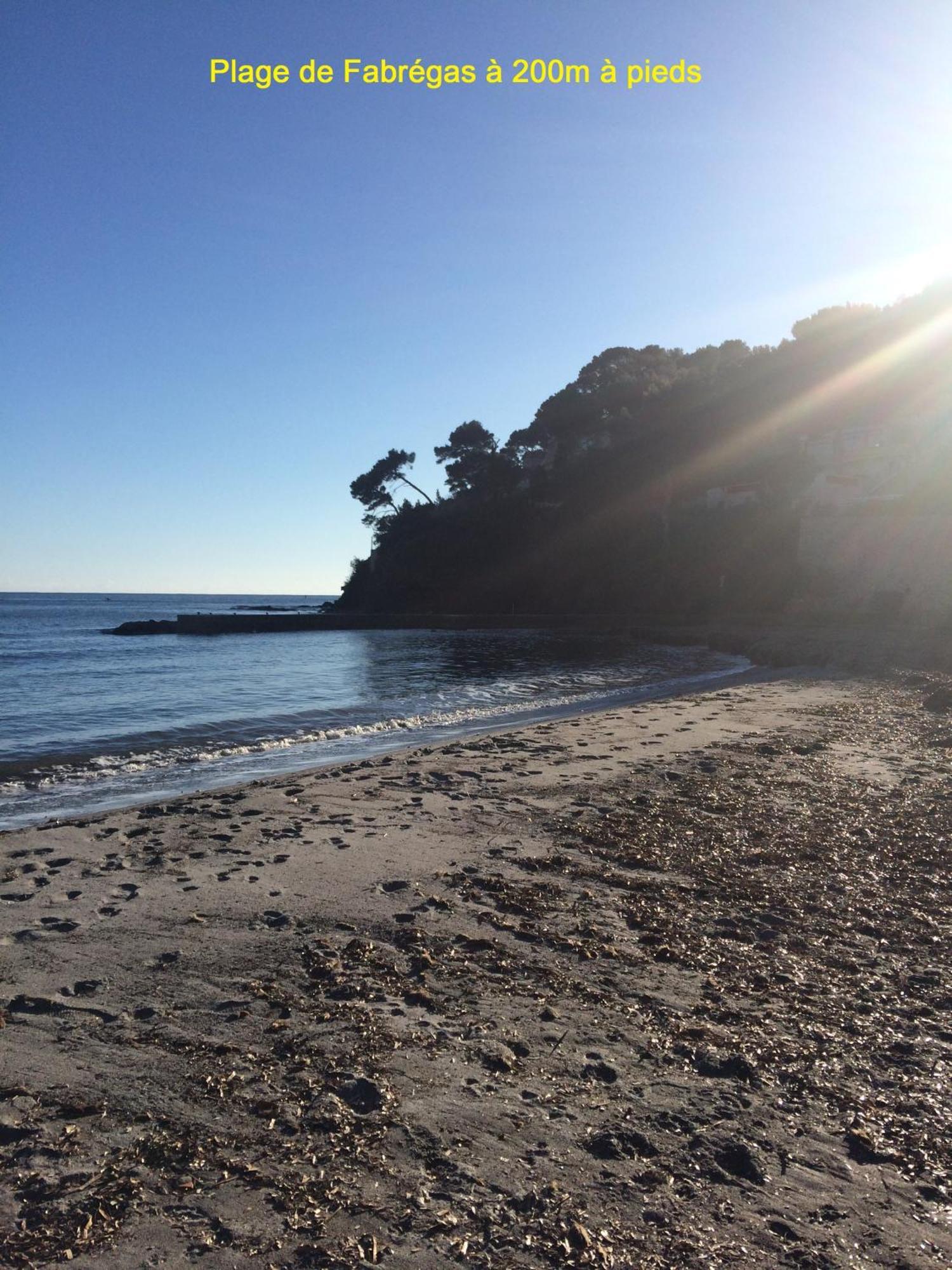 Chambre Et Salle De Bain Independantes A 200M De La Plage De Fabregas 滨海拉塞讷 外观 照片